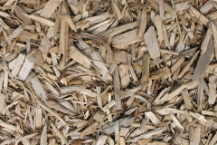 biomass boilers Ancumtoun